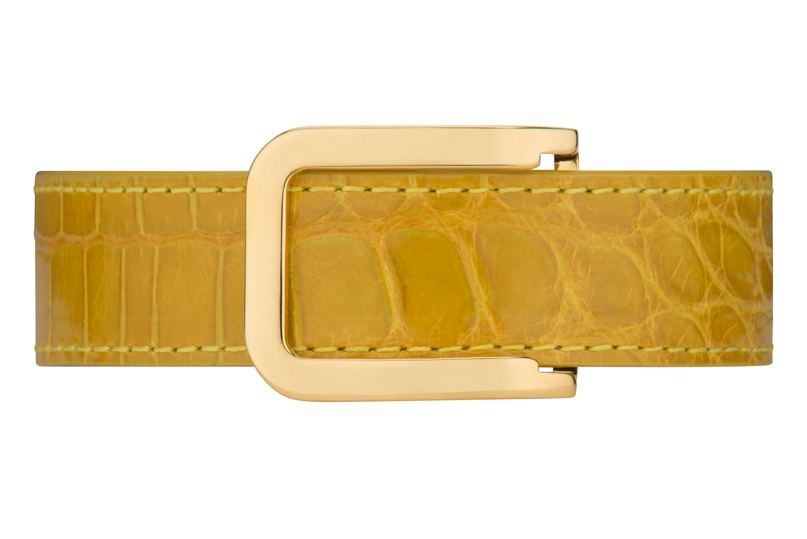 Yellow Glossy Alligator Belt – BIG YACHT Leather